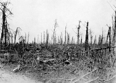 Les v oblasti Somme, Francie, 1916, c1920 od Unbekannt