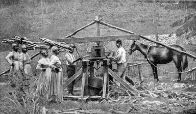 Dřevěný mlýn na drcení cukrové třtiny poháněný koňmi, Západní Indie, 1922 od Unbekannt