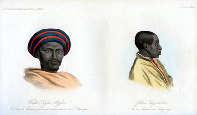 Habešské portréty, 1848 od Unbekannt