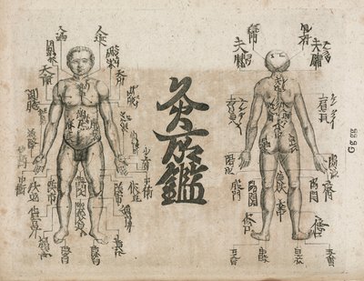 Akupunkturní mapa lidského těla zobrazující body moxování (diagram moxabustion ukazuje, kde je třeba se vyvarovat opice od Unbekannt