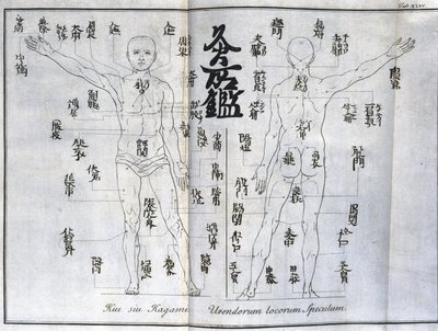 Akupunktura: mapa lidského těla s vyznačením bodů moxování, Japonsko (graf týkající se moxy, c 1690) od Unbekannt