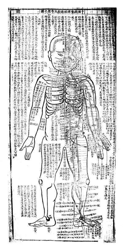 Akupunkturní tabulka pro přední část těla, japonská, 19. století od Unbekannt