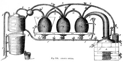Adams stále, 1886 od Unbekannt