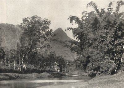 Adamspik z oblasti Maskeliya, 1926 od Unbekannt