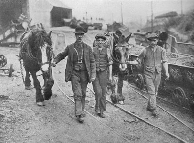 Po osídlení: Horníci odvádějící své poníky zpět do jámy, 1915 od Unbekannt