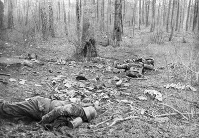 Následky bojů v parku Plessis-de-Roye, Pikardie, Francie, 30. března 1918 od Unbekannt
