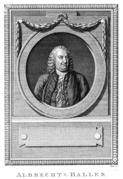 Albrecht von Haller, švýcarský lékař a vědec, c1770 c1780 od Unbekannt