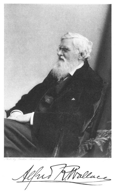 Alfred Russell Wallace, britský přírodovědec narozený ve Walesu, kolem roku 1900 od Unbekannt
