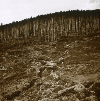 Alsasko, c1914-c1918 od Unbekannt