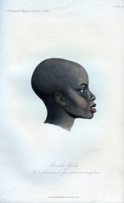 Amochi Galla, portrét Galla, 1848 od Unbekannt