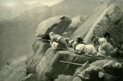 Ambuscade, 1901. od Unbekannt