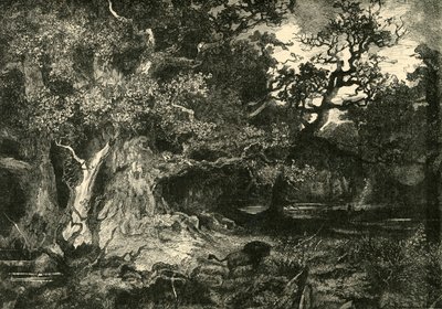 Starý německý les, 1890. od Unbekannt