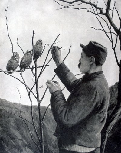 Originální výzdoba zákopu, Francie, první světová válka, 1915 od Unbekannt