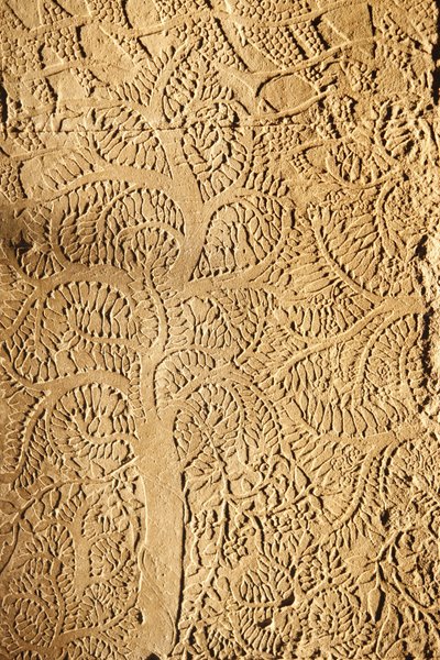 Angkor Wat, vyřezávaný detail na WallTree, Siem Reap, Kambodža od Unbekannt