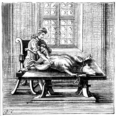 Transfuze krve ze zvířete na člověka, 1679 od Unbekannt
