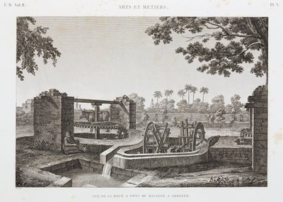 Animal Power Wheel a kbelíkový zavlažovací systém, Egypt, c 1798 od Unbekannt