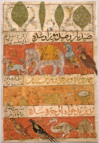 Zvířata, ptáci a rostliny verso, Ilustrace a textové perské verše..., 1341. od Unbekannt