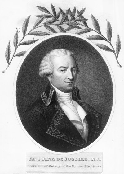 Antoine de Jussieu, francouzský botanik 18. století, 1807 od Unbekannt