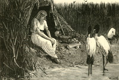 Anysis ukrytý v Marshes of the Delta, 1890. od Unbekannt