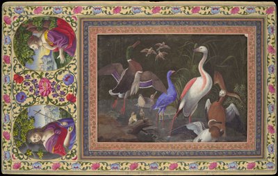 Aquatic Birds at a Pool, Folio z Davisova alba, 18. století. od Unbekannt
