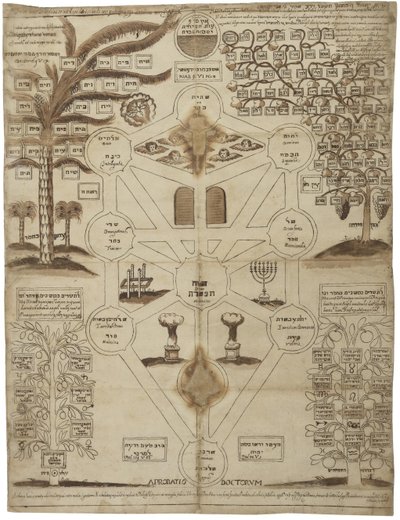 Kabalistický strom Arbor Cabalistica, asi 1625 od Unbekannt