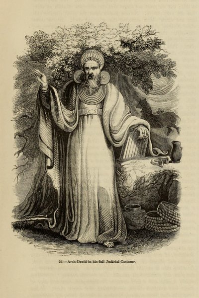 Arch-Druid ve svém plném soudním kostýmu Z knihy Stará Anglie: Obrazové muzeum, 1845 od Unbekannt