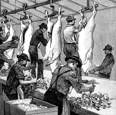 Armor Companys prasečí jatka, Chicago, Illinois, USA, 1892 od Unbekannt