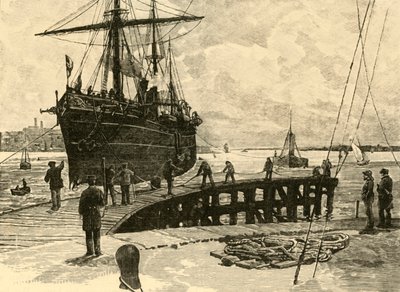 Příjezd parníku do Southampton Docks, 1898. od Unbekannt