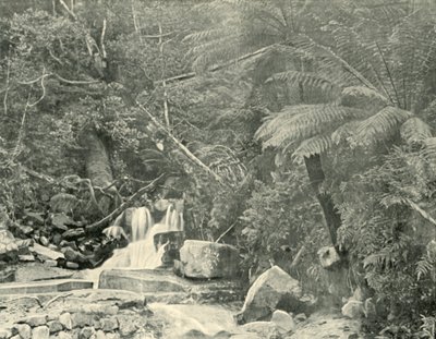 U St. Crispins Well, 1901. od Unbekannt