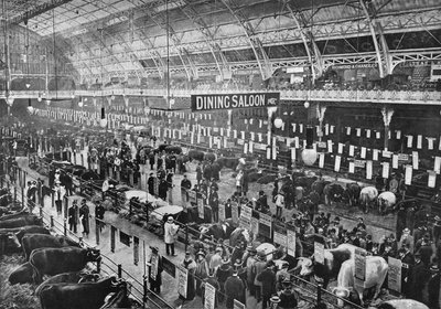 Na výstavě dobytka Smithfield Club, Agricultural Hall, Islington, Londýn, 1902 1903 od Unbekannt