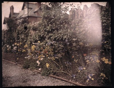 Autochrom květin, c 1908 od Unbekannt