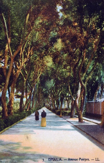 Avenue Poirpre, Ismailia, Egypt, c1900 od Unbekannt