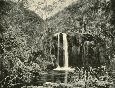Back Creek Falls, Buchan River, Victoria, 1901. od Unbekannt
