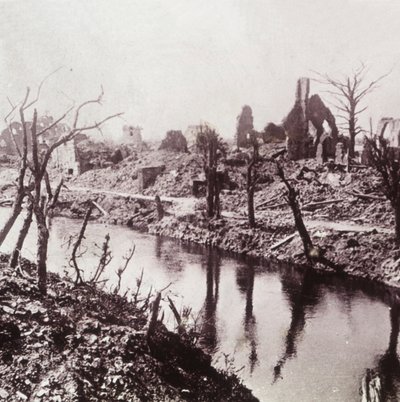 Banks of the Yser, Belgie, c1914-c1918 od Unbekannt