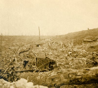 Battlefield, Bezonvaux, Verdun, severní Francie, c1914-c1918 od Unbekannt