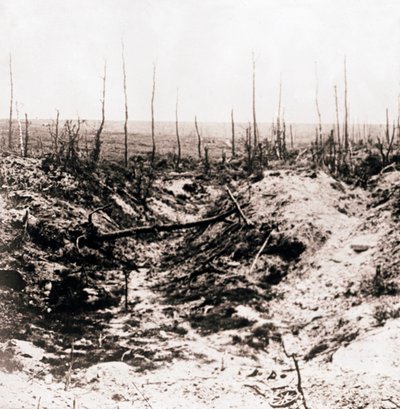 Battlefield, c1914-c1918 od Unbekannt