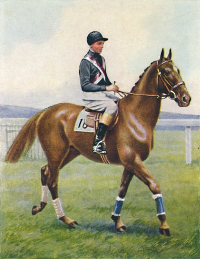Bitevní loď, žokej: B. Hobbs, 1939 od Unbekannt