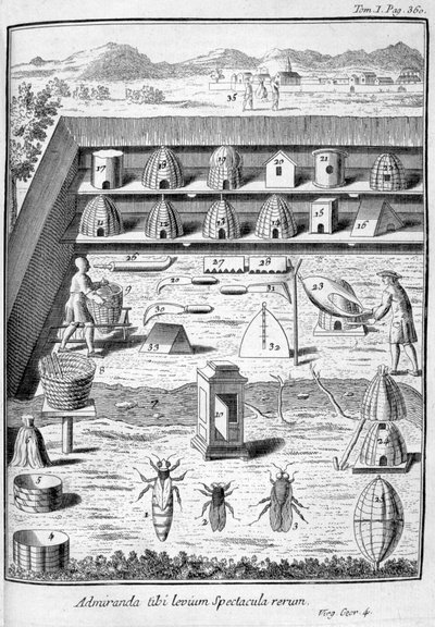 Včelařství, 1775 od Unbekannt