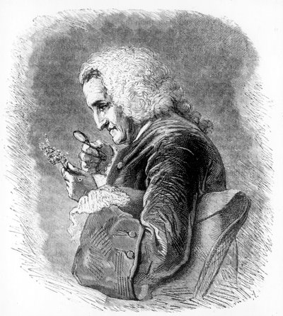 Bernard de Jussieu, francouzský botanik 18. století, 1880 od Unbekannt