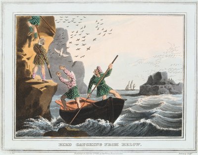 Chytání ptáků zdola, Shetlandské ostrovy, 1813 od Unbekannt