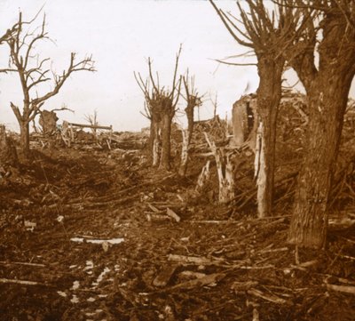 Rozrušená krajina, Belloy-en-Santerre, severní Francie, c1914-c1918 od Unbekannt