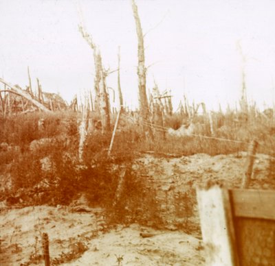 Otryskané dřevo, Nieuwpoort, Flandry, Belgie, c1914-c1918 od Unbekannt