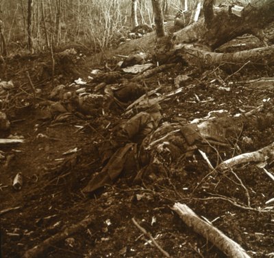 Bodies, Les Éparges, severní Francie, 1915. od Unbekannt