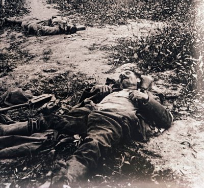 Těla mrtvých vojáků, c1914-c1918 od Unbekannt