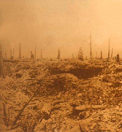 Bois du Chapitre, Vaux, severní Francie, c1914-c1918 od Unbekannt