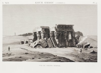 Kniha: Popis Egypta od Unbekannt