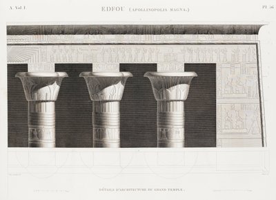 Kniha: Popis Egypta od Unbekannt