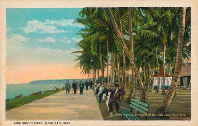 Borinquen Park, poblíž San Juan, 1909 od Unbekannt