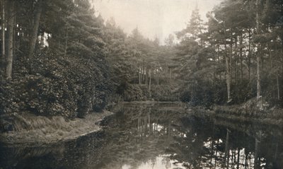 Branksome Chine and Lake, c1910 od Unbekannt