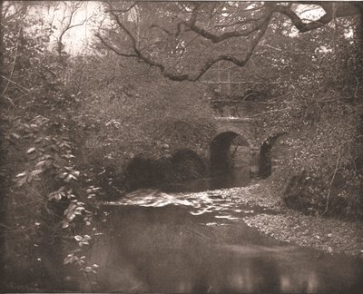 Potok a most v New Forest, Hampshire, 1894. od Unbekannt